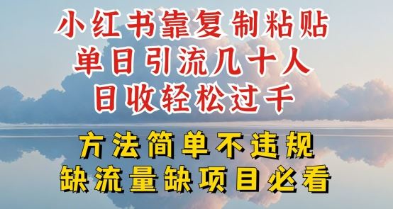 小红书靠复制粘贴单日引流几十人目收轻松过千，方法简单不违规【揭秘】-甄选网创