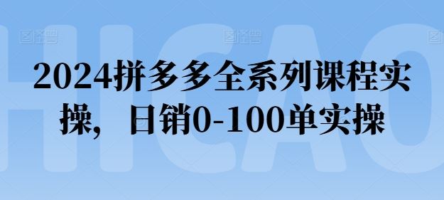 2024拼多多全系列课程实操，日销0-100单实操【必看】-甄选网创