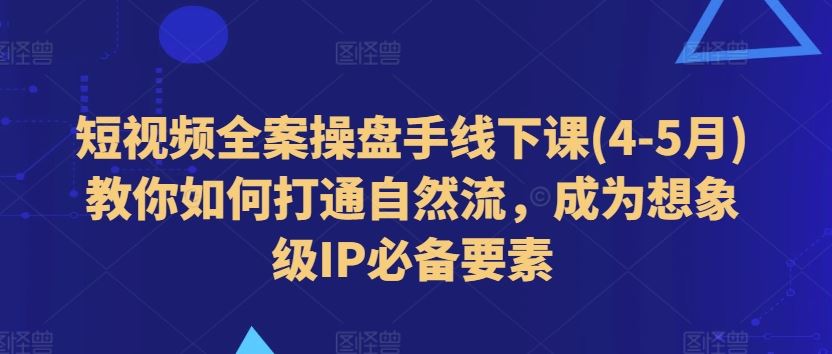 短视频全案操盘手线下课(4-5月)教你如何打通自然流，成为想象级IP必备要素-甄选网创