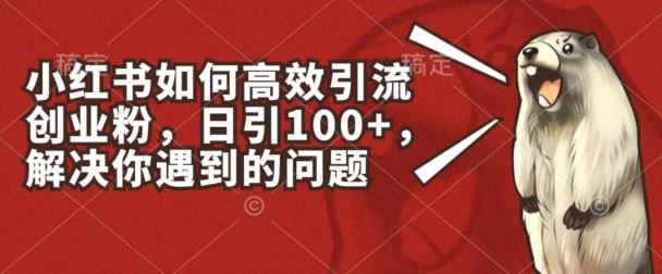 小红书如何高效引流创业粉，日引100+，解决你遇到的问题【揭秘】-甄选网创