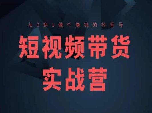 短视频带货实战营(高阶课)，从0到1做个赚钱的抖音号-甄选网创