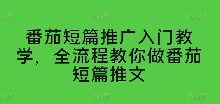 番茄短篇推广入门教学，全流程教你做番茄短篇推文-甄选网创