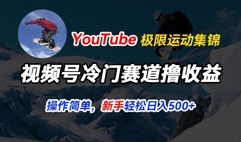 视频号冷门赛道撸收益，YouTube搬运极限运动集锦，暴力起号，操作简单流量高，轻松日入5张【揭秘】-甄选网创