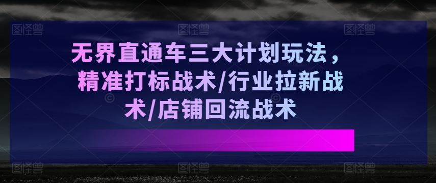 无界直通车三大计划玩法，精准打标战术/行业拉新战术/店铺回流战术-甄选网创