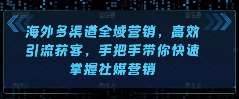 海外多渠道全域营销，高效引流获客，手把手带你快速掌握社媒营销-甄选网创