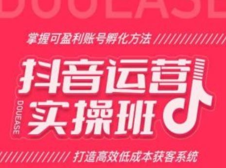 抖音运营实操班，掌握可盈利账号孵化方法，打造高效低成本获客系统-甄选网创