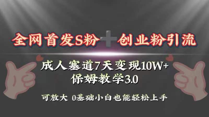 （8337期）全网首发s粉加创业粉引流变现，成人用品赛道7天变现10w+保姆教学3.0-甄选网创