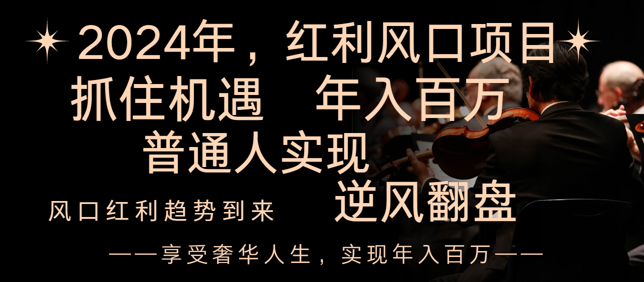 （8418期）2024红利风口项目来袭，享受第一波红利，逆风翻盘普通人也能实现，年入百万-甄选网创