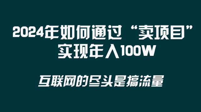 （8382期） 2024年如何通过“卖项目”实现年入100W-甄选网创