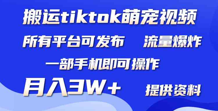 （9618期）搬运Tiktok萌宠类视频，一部手机即可。所有短视频平台均可操作，月入3W+-甄选网创