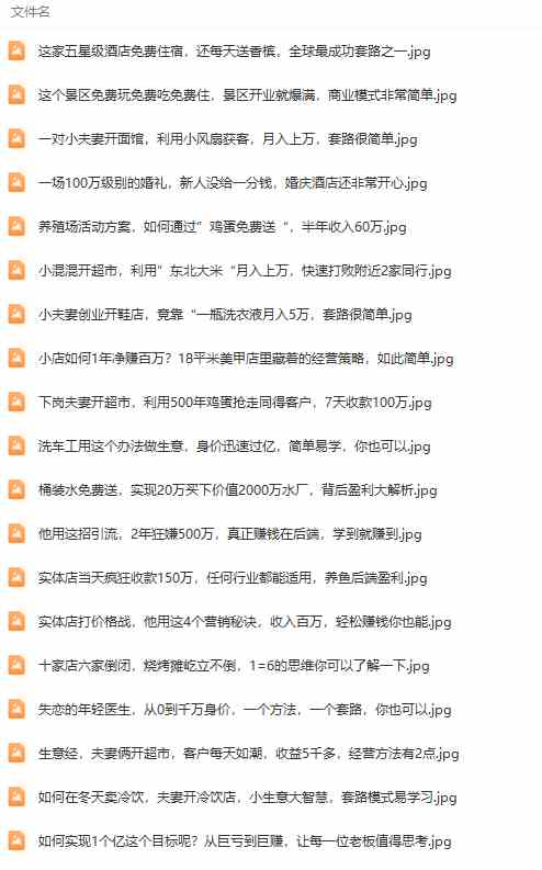 图片[4]-（9607期）真实有效391套商业模式，年入几十到几百万案例解析（电子书+视频+图文）-甄选网创