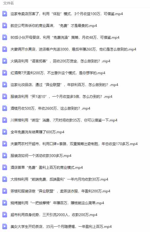 图片[8]-（9607期）真实有效391套商业模式，年入几十到几百万案例解析（电子书+视频+图文）-甄选网创