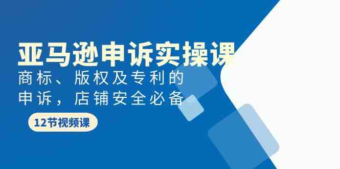 （9754期）亚马逊-申诉实战课，​商标、版权及专利的申诉，店铺安全必备-甄选网创