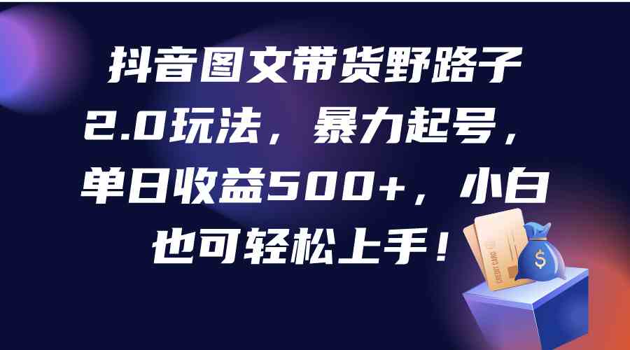 （9790期）抖音图文带货野路子2.0玩法，暴力起号，单日收益500+，小白也可轻松上手！-甄选网创