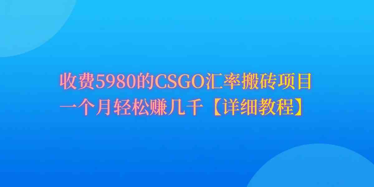 （9776期）CSGO装备搬砖，月综合收益率高达60%，你也可以！-甄选网创