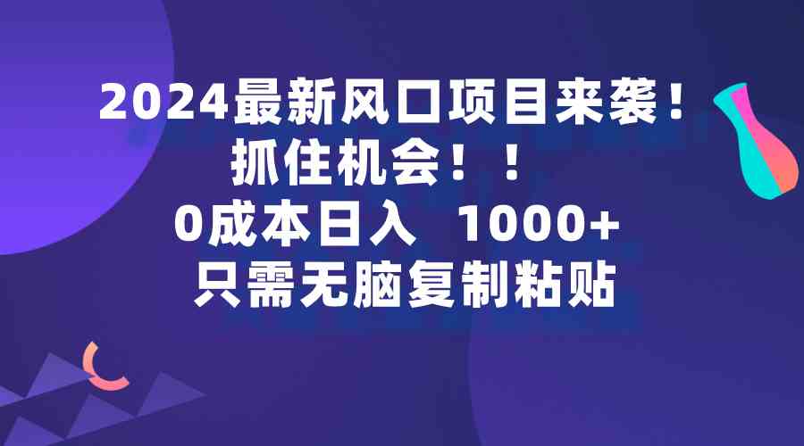 （9899期）2024最新风口项目来袭，抓住机会，0成本一部手机日入1000+，只需无脑复…-甄选网创