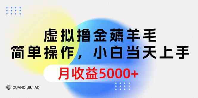 （9864期）虚拟撸金薅羊毛，简单操作，小白当天上手，月收益5000+-甄选网创