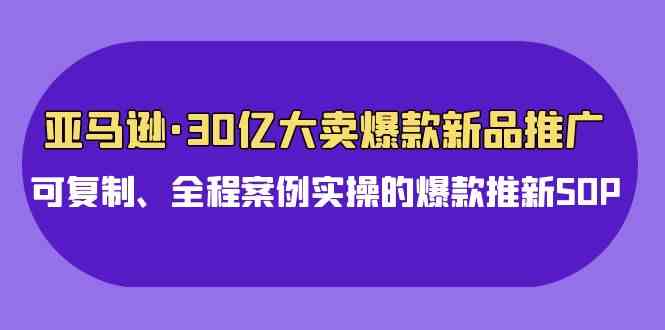 （9944期）亚马逊30亿·大卖爆款新品推广，可复制、全程案例实操的爆款推新SOP-甄选网创