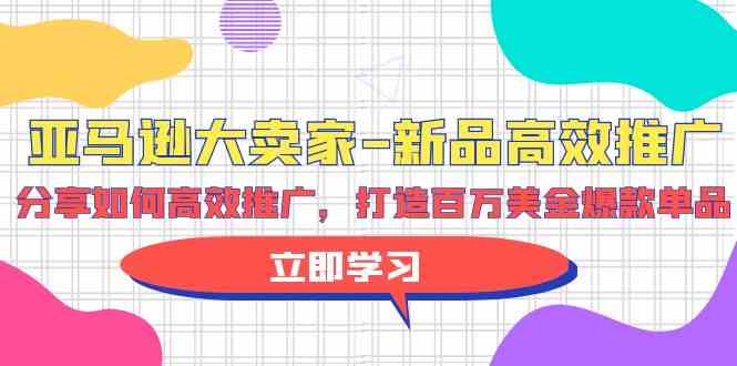 （9945期）亚马逊 大卖家-新品高效推广，分享如何高效推广，打造百万美金爆款单品-甄选网创