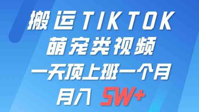 （9931期）一键搬运TIKTOK萌宠类视频 一部手机即可操作 所有平台均可发布 轻松月入5W+-甄选网创