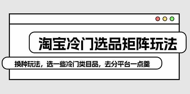 （10159期）淘宝冷门选品矩阵玩法：换种玩法，选一些冷门类目品，去分平台一点羹-甄选网创