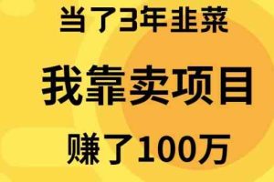 （10149期）当了3年韭菜，我靠卖项目赚了100万-甄选网创