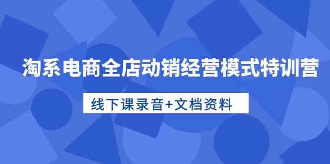 （10192期）淘系电商全店动销经营模式特训营，线下课录音+文档资料-甄选网创