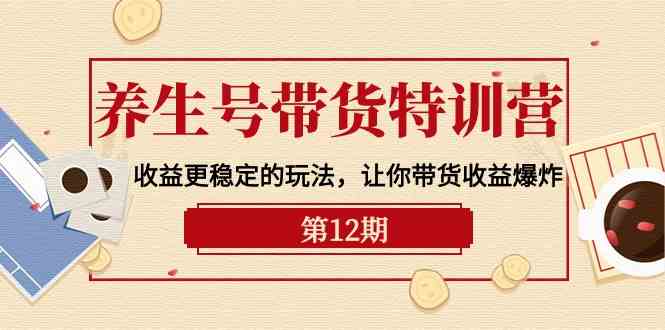 （10110期）养生号带货特训营【12期】收益更稳定的玩法，让你带货收益爆炸-9节直播课-甄选网创