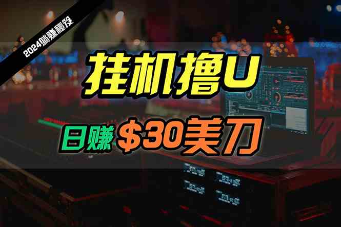 （10013期）日赚30美刀，2024最新海外挂机撸U内部项目，全程无人值守，可批量放大-甄选网创