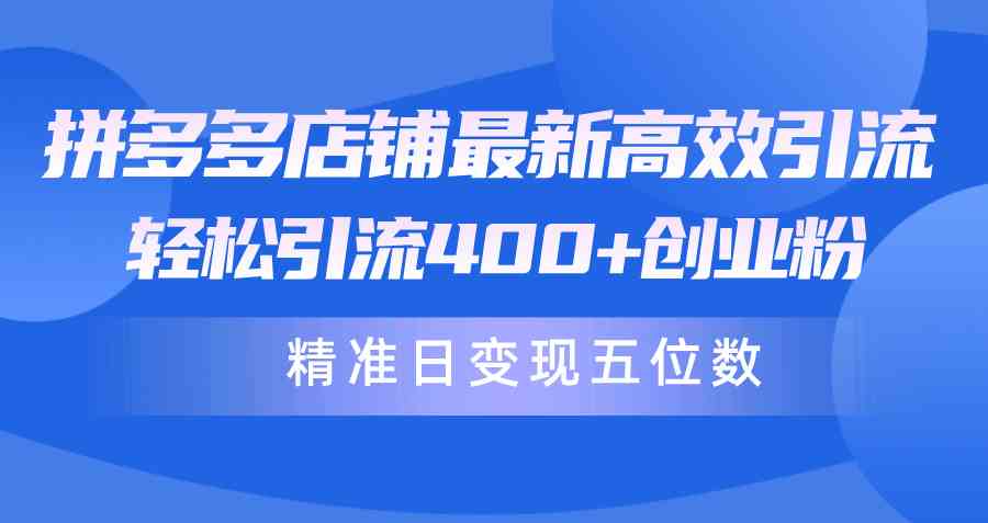 （10041期）拼多多店铺最新高效引流术，轻松引流400+创业粉，精准日变现五位数！-甄选网创