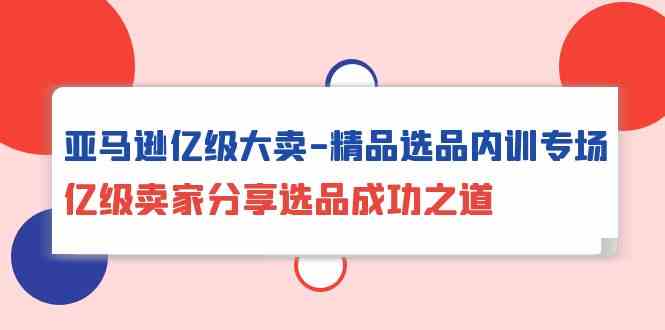 （10034期）亚马逊亿级大卖-精品选品内训专场，亿级卖家分享选品成功之道-甄选网创