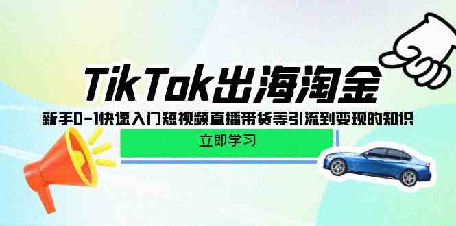 （10035期）TikTok-出海淘金，新手0-1快速入门短视频直播带货等引流到变现的知识-甄选网创