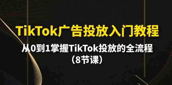 （10085期）TikTok广告投放入门教程，从0到1掌握TikTok投放的全流程（8节课）-甄选网创