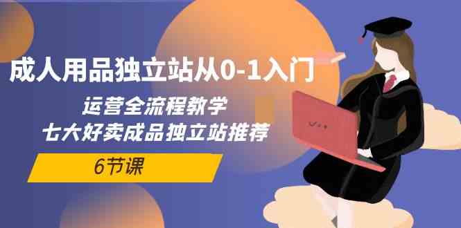 （10082期）成人用品独立站从0-1入门，运营全流程教学，七大好卖成品独立站推荐-6节课-甄选网创