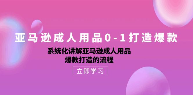 （10493期）亚马逊成人用品0-1打造爆款：系统化讲解亚马逊成人用品爆款打造的流程-甄选网创