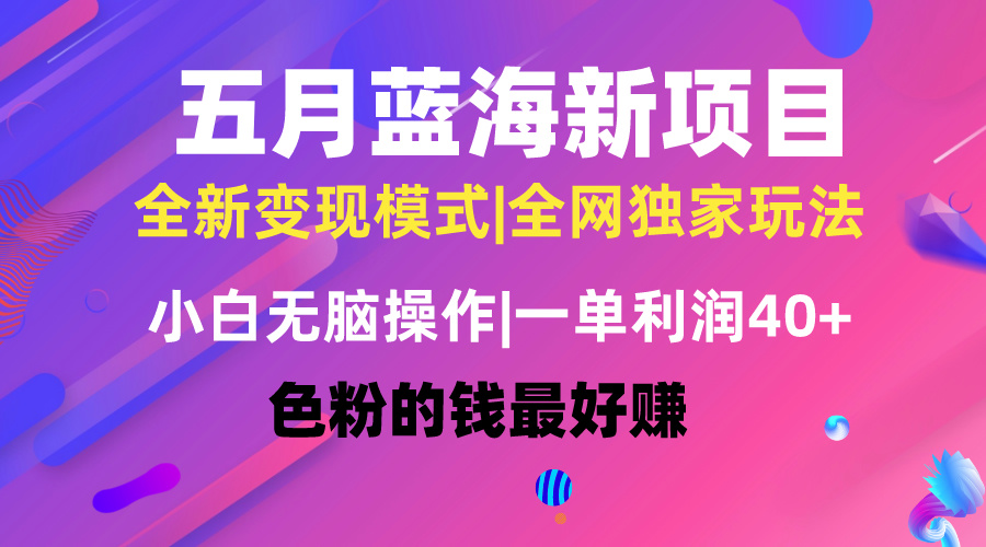 （10477期）五月蓝海项目全新玩法，小白无脑操作，一天几分钟，矩阵操作，月入4万+-甄选网创