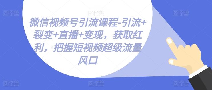 微信视频号引流课程-引流+裂变+直播+变现，获取红利，把握短视频超级流量风口-甄选网创