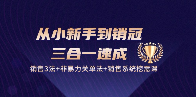 （10799期）从小新手到销冠 三合一速成：销售3法+非暴力关单法+销售系统挖需课 (27节)-甄选网创