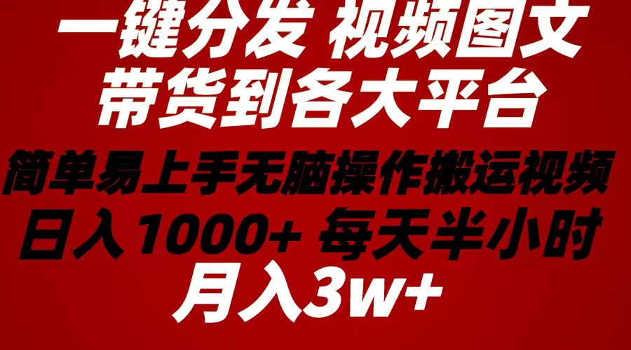 （10667期）2024年 一键分发带货图文视频  简单易上手 无脑赚收益 每天半小时日入1…-甄选网创