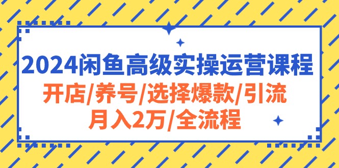 （10711期）2024闲鱼高级实操运营课程：开店/养号/选择爆款/引流/月入2万/全流程-甄选网创