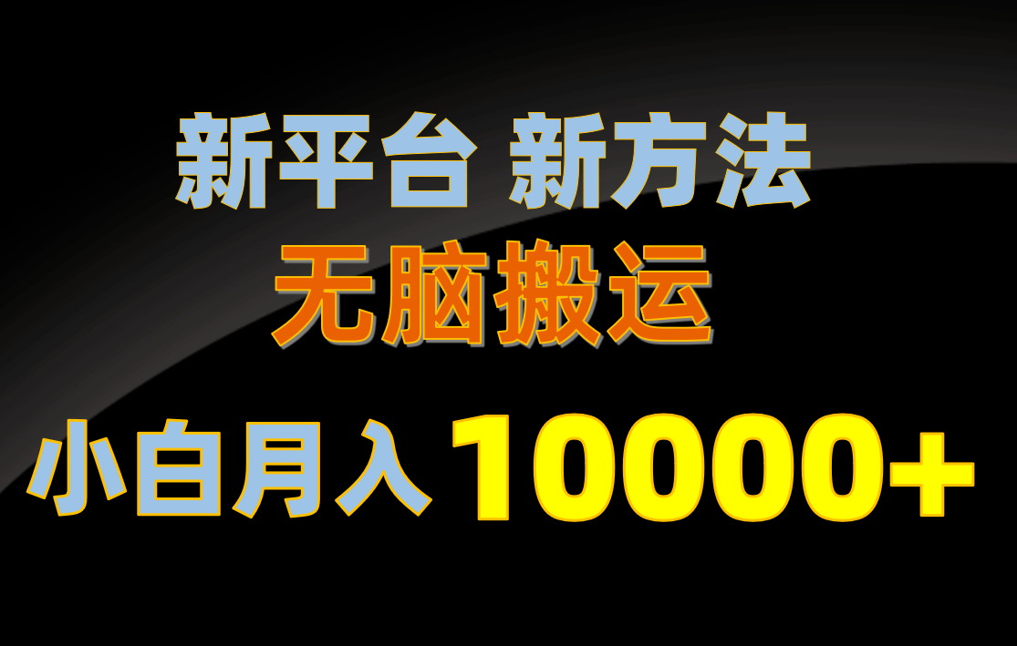 （10605期）新平台新方法，无脑搬运，月赚10000+，小白轻松上手不动脑-甄选网创