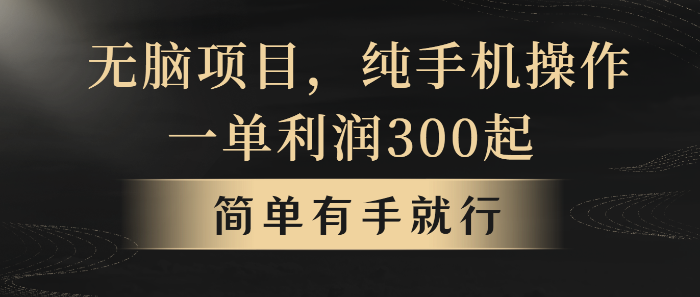 （10589期）无脑项目，一单几百块，轻松月入5w+，看完就能直接操作-甄选网创