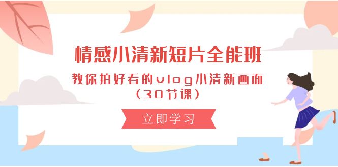 （10567期）情感 小清新短片-全能班，教你拍好看的vlog小清新画面 (30节课)-甄选网创