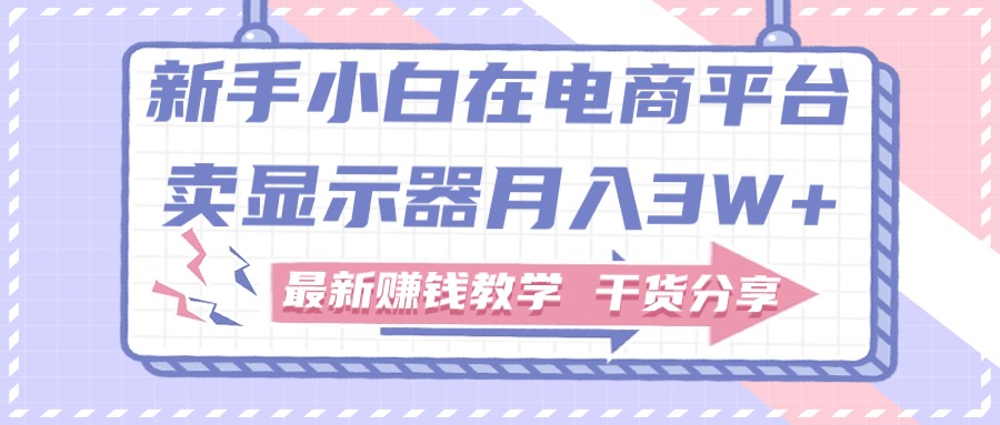 （11053期）新手小白如何做到在电商平台卖显示器月入3W+，最新赚钱教学干货分享-甄选网创