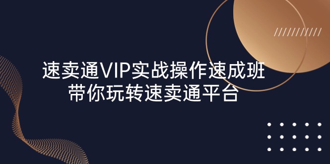 （10935期）速卖通 VIP实战操作-速成班，带你玩转速卖通平台（23节）-甄选网创