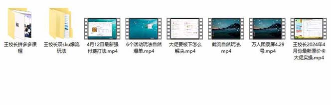 图片[3]-（10865期）拼多多·实战课：万人团玩法/截流自然流/最新强付费打法/最新原价卡大促..-甄选网创