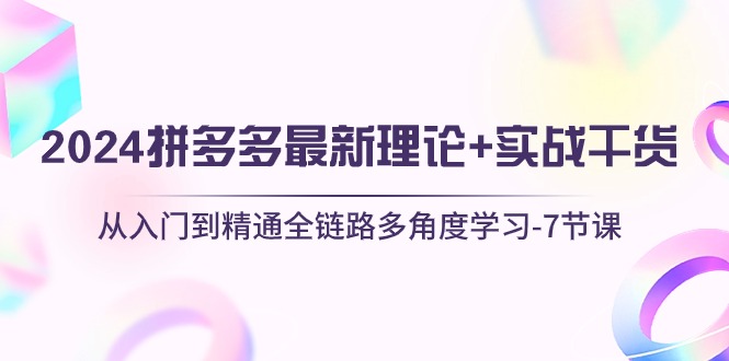 （10816期）2024拼多多 最新理论+实战干货，从入门到精通全链路多角度学习-7节课-甄选网创