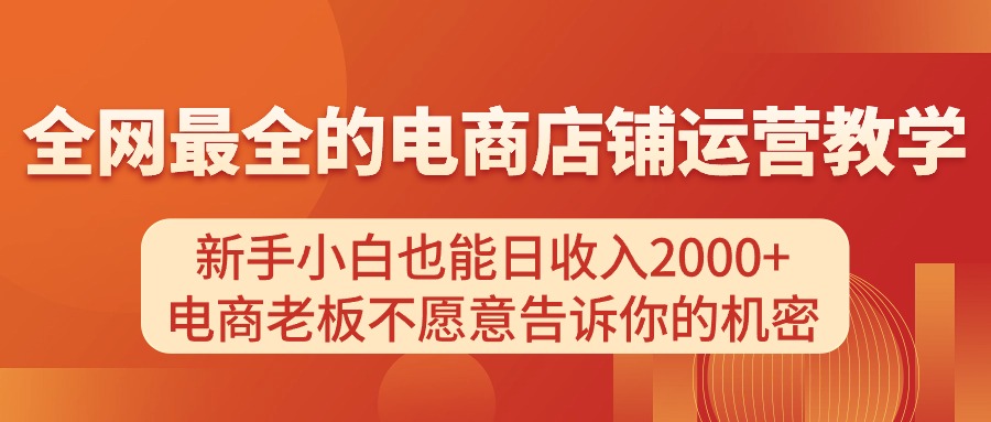 （11266期）电商店铺运营教学，新手小白也能日收入2000+，电商老板不愿意告诉你的机密-甄选网创