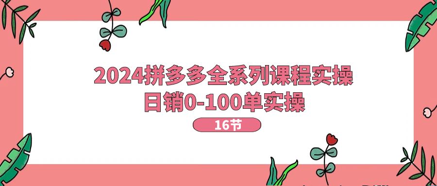 （11222期）2024拼多多全系列课程实操，日销0-100单实操【16节课】-甄选网创