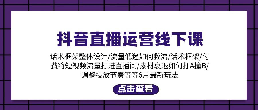 （11211期）抖音直播运营线下课：话术框架/付费流量直播间/素材A撞B/等6月新玩法-甄选网创